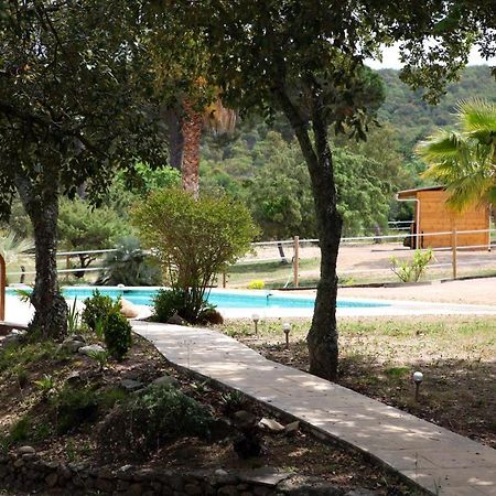 Villa Villekulla Dependance Avec Spa Privatif Le Plan-de-la-Tour 외부 사진